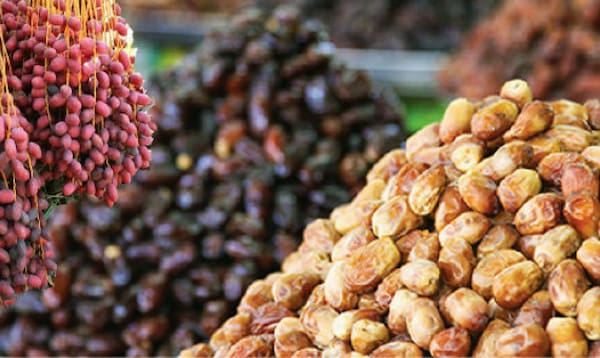 تصویر 5 از خرید خرما مضافتی خوشه ای + قیمت فروش استثنایی